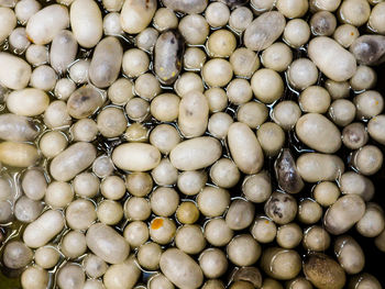 Full frame shot of silkworm cocoons in water