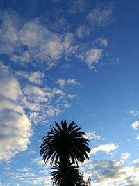 Low angle view of silhouette palm tree against sky