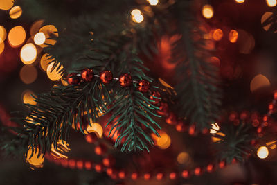 Close-up of illuminated christmas tree at night