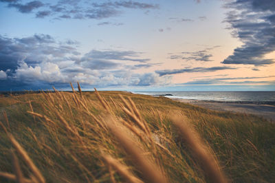 Scenic view of beach against sky during sunset