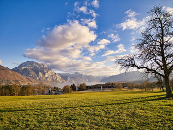 Scenic view of field against sky