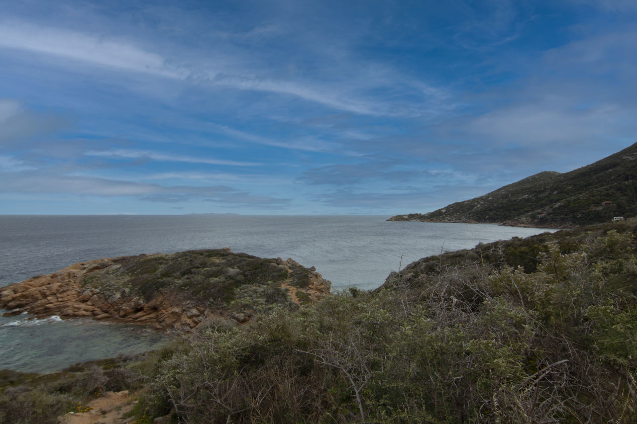 SCENIC VIEW OF SEA AND SHORE AGAINST SKY