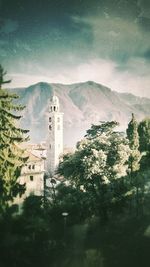 Trees and buildings against sky