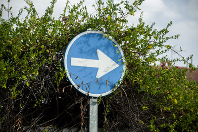 Road sign for mandatory right turn surrounded by green bush and leaves with their shadows