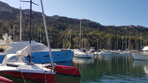 Sailboats in marina