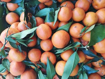 Full frame shot of fruits in market for sale