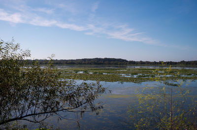 Scenic view of calm lake against sky