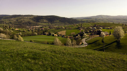 Scenic view of agricultural field against sky