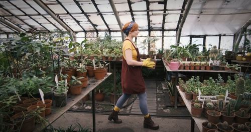 Woman standing by potted plants in greenhouse