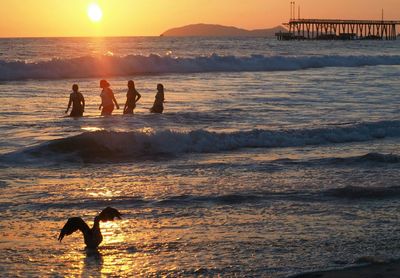 Silhouette of people at beach during sunset
