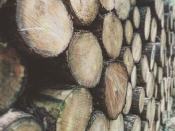 Full frame shot of logs