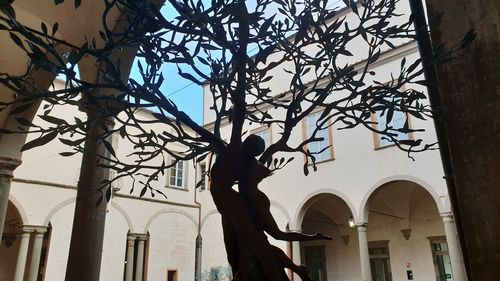 Low angle view of trees and buildings against sky