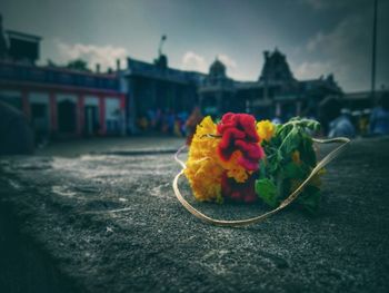 Close-up of rose bouquet against wall