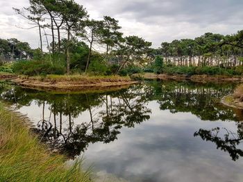 Reflection of trees in lake against sky