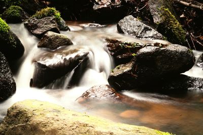 Scenic view of waterfall in forest