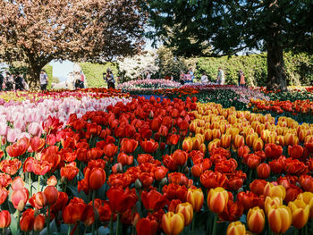 Midsection of woman standing amidst flowers