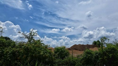 Trees against cloudy sky