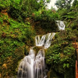 Waterfall in forest