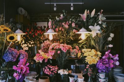 View of flowering plants at store