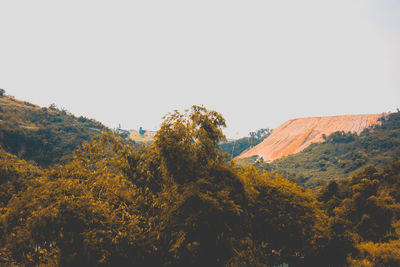 Trees on landscape against clear sky