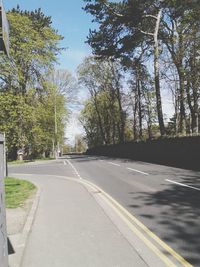 Empty road along trees