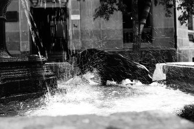 Low section of man splashing water