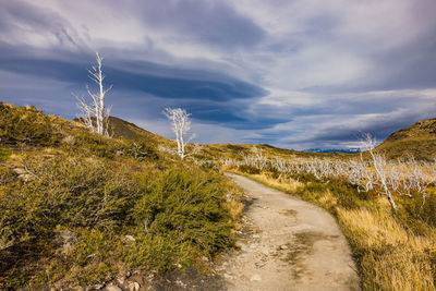 Hiking trail through the pampas of torres del paine national park with spectacular clouds, chile