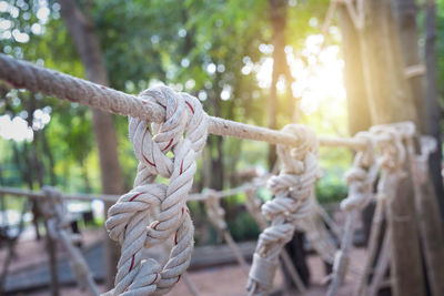 Close-up of rope tied to sculpture