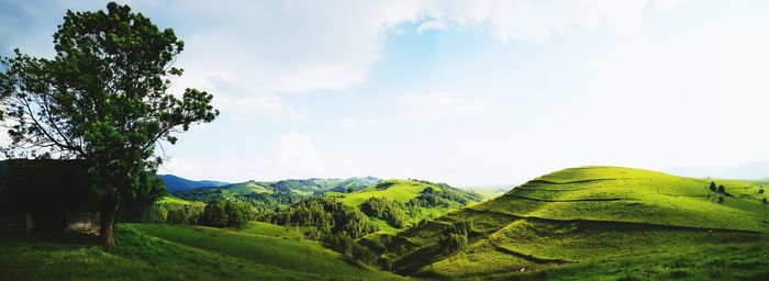 Scenic view of landscape against sky