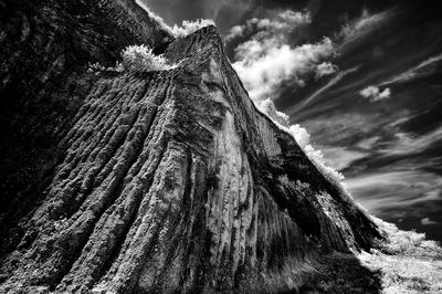 Low angle view of tree trunk against sky