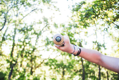 Midsection of person holding plant in forest