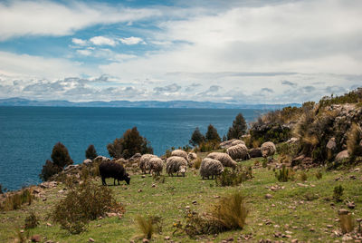 Scenic view of sea against sky