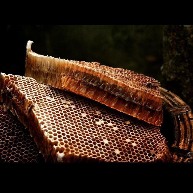 transfer print, close-up, auto post production filter, indoors, pattern, focus on foreground, sunlight, no people, day, basket, selective focus, nature, textile, fabric, natural pattern, home interior, wood - material, brown, wicker