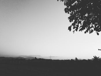 Silhouette trees on field against clear sky