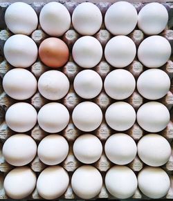 Full frame shot of eggs