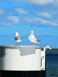 Seagull perching on a boat in sea against sky