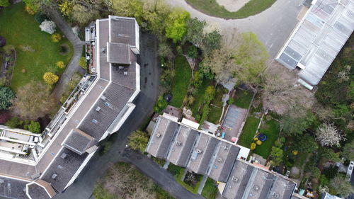 High angle view of street amidst trees in city