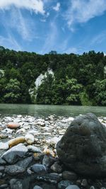 Scenic view of pebbles by trees against sky