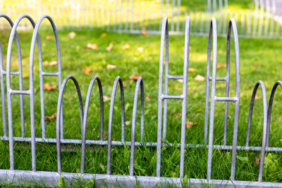 Plants growing on field seen through fence