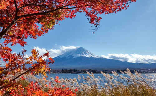 Scenic view of snowcapped mountains against sky during autumn