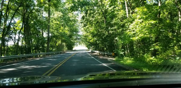 Road amidst trees seen through car windshield