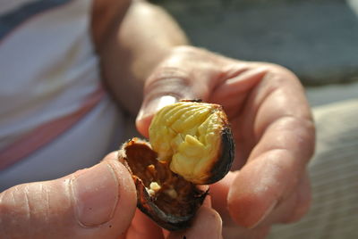 Midsection of man holding roasted chestnut