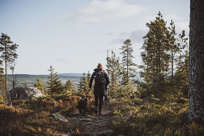 Rear view of man walking amidst trees in forest against sky