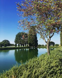 Scenic view of lake against clear sky