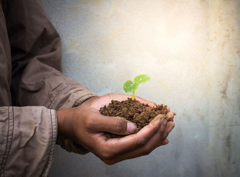 Midsection of person holding plant