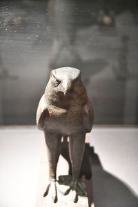 Close-up of statue against blurred background