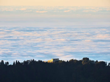 Silhouette trees against sky during sunset
