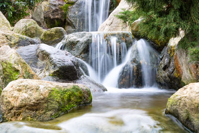 Scenic view of waterfall in forest