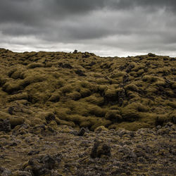 Close-up of rocks on landscape against sky
