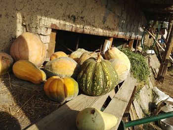 High angle view of pumpkins in container